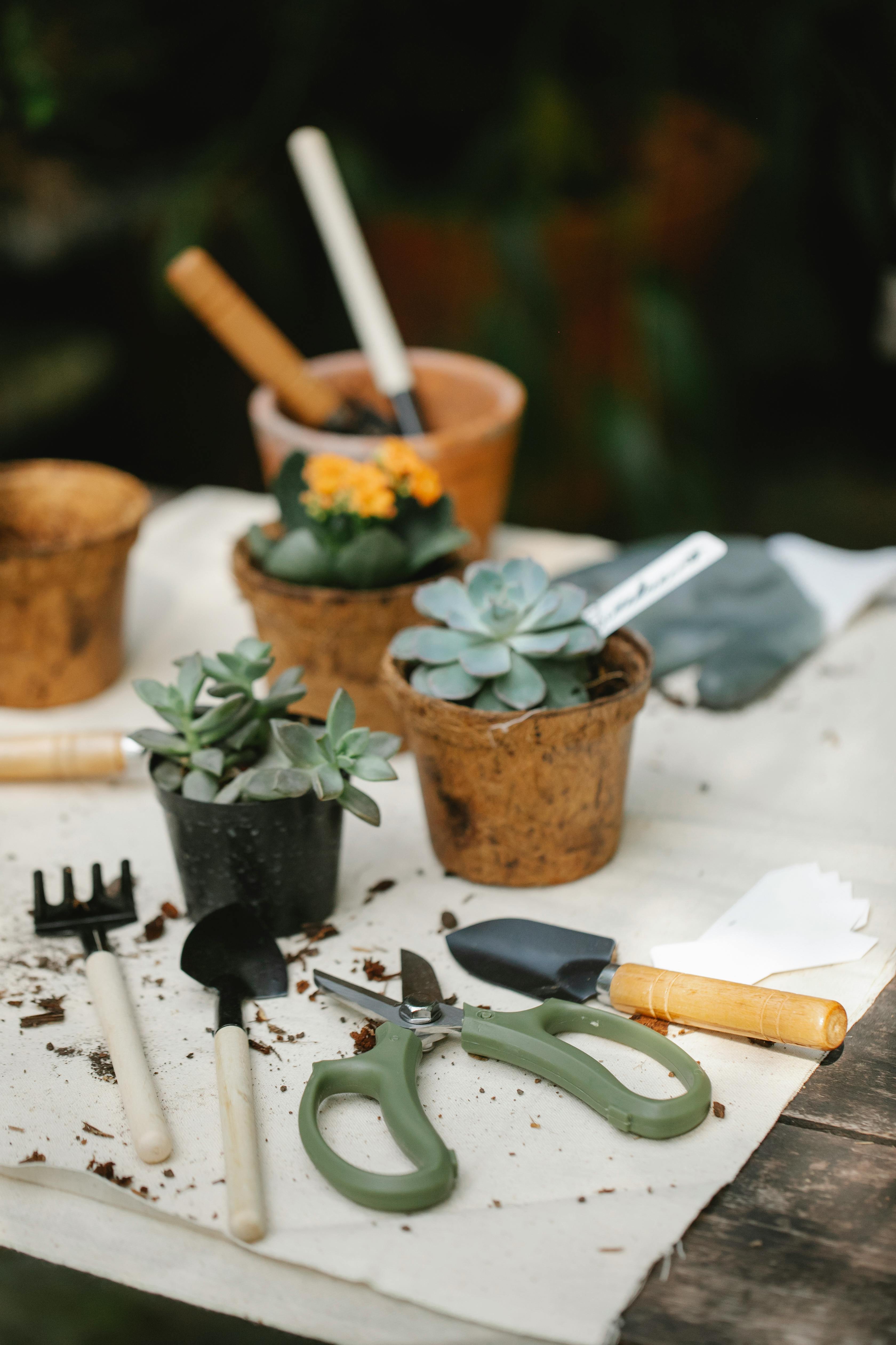 Outdoor Living