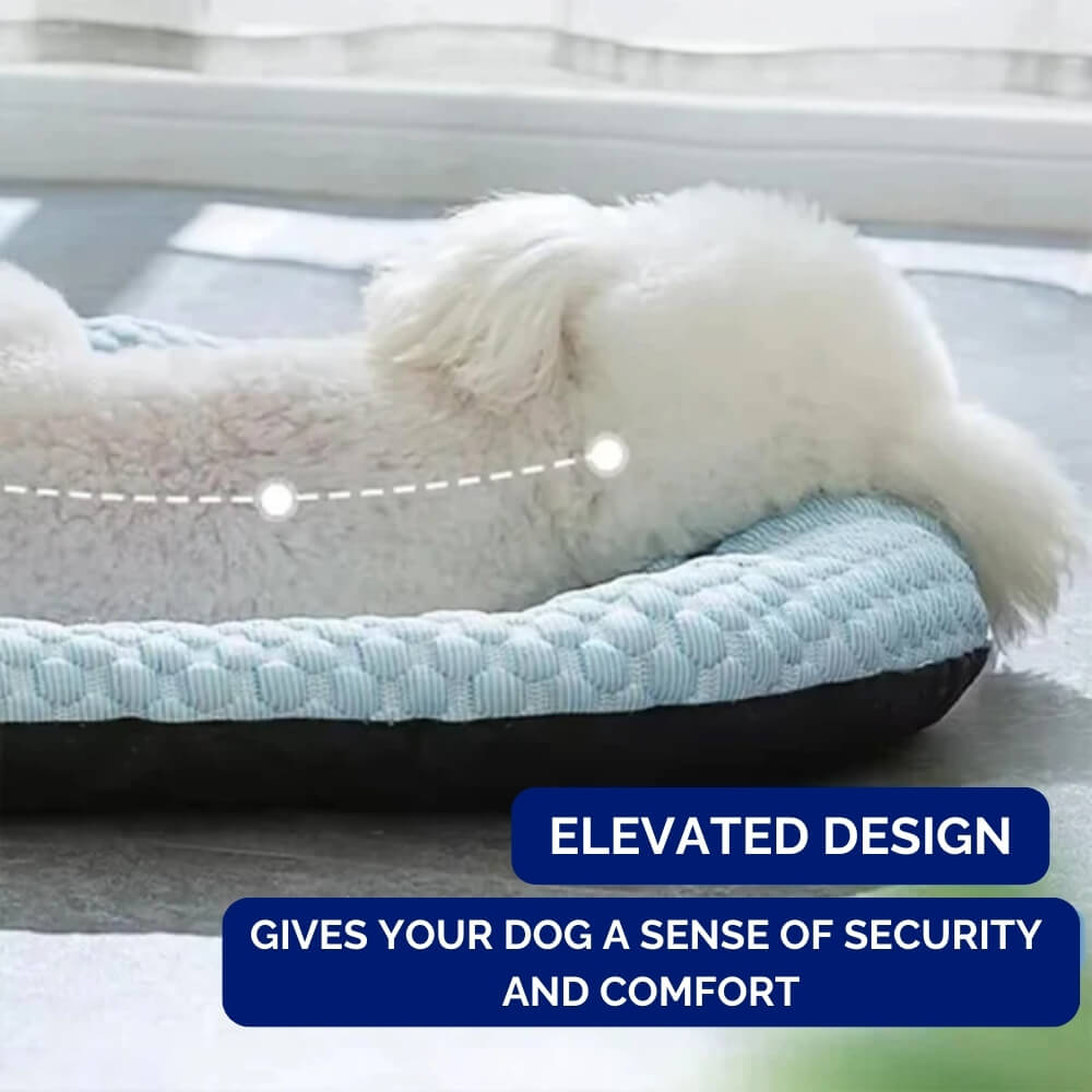 Dog bed with elevated design for comfort and security, featuring a fluffy white dog.